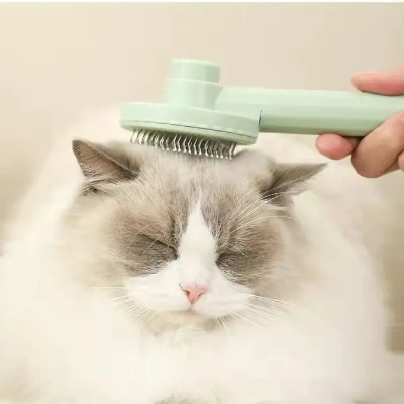 Self-Cleaning Pet Grooming Brush